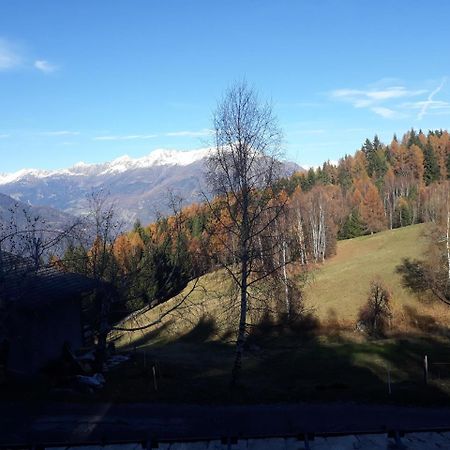Agriturismo I Conti Di Pisce Le Bratte 외부 사진