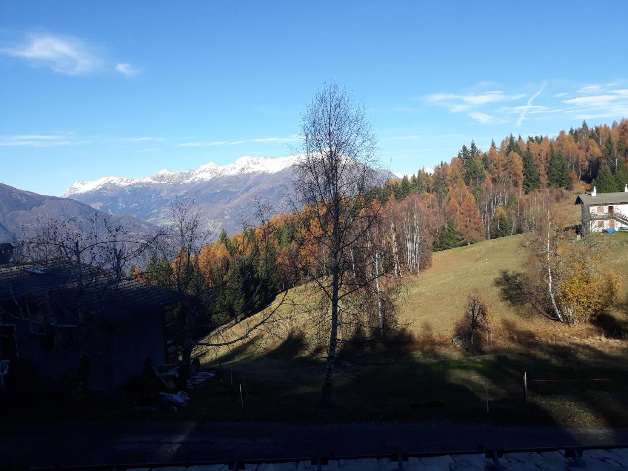 Agriturismo I Conti Di Pisce Le Bratte 외부 사진